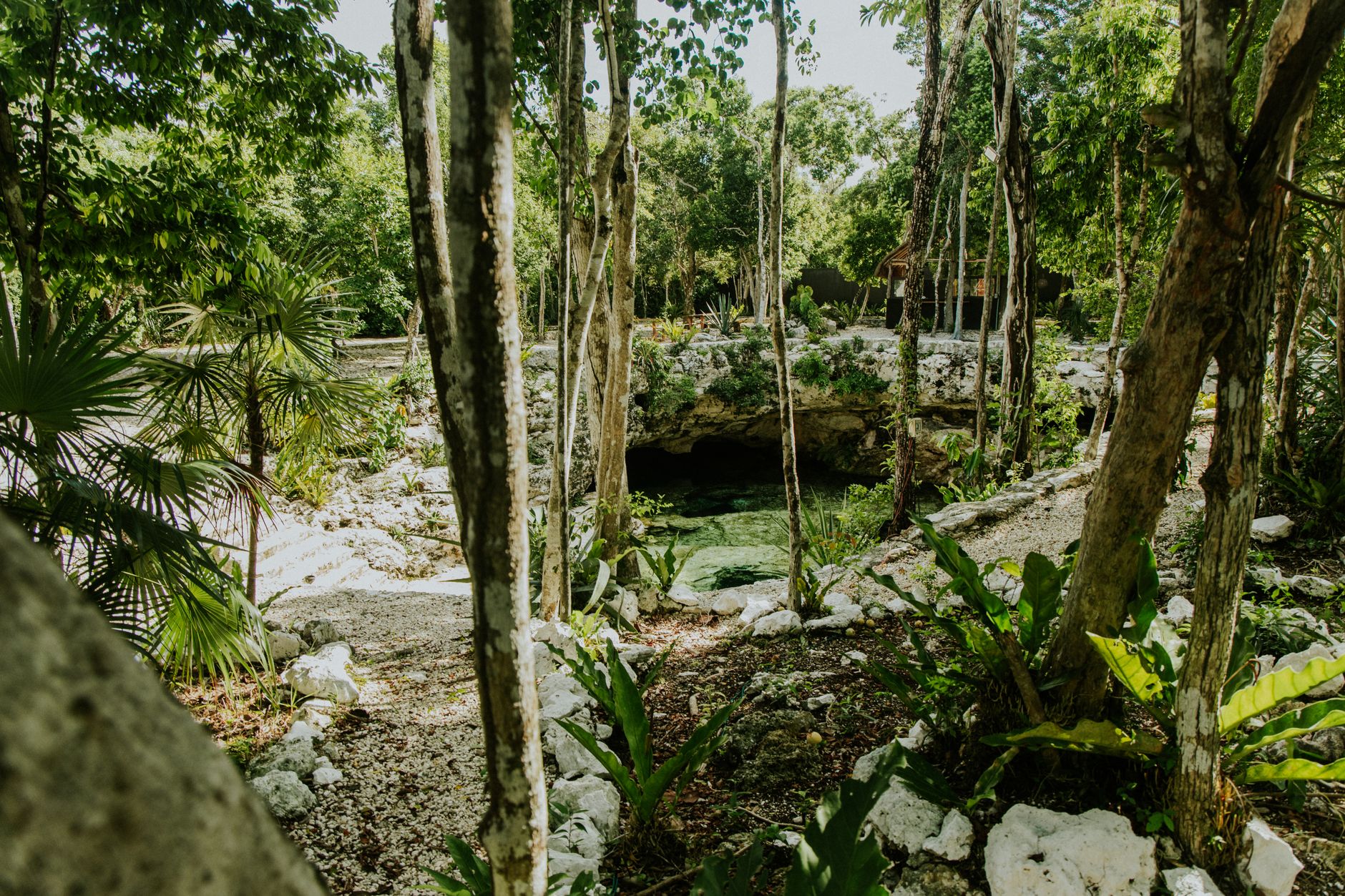 Cenote Diving & Snorkeling